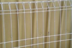 pet fencing adelaide